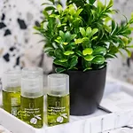 Apartament Excellent 2br Flat In Downtown