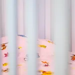 Excellent 2br Flat In Downtown Apartament *