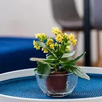 Excellent 2br Flat In Downtown