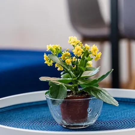 Excellent 2br Flat In Downtown