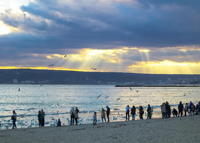 Apartment Excellent 2br Flat In Downtown Varna